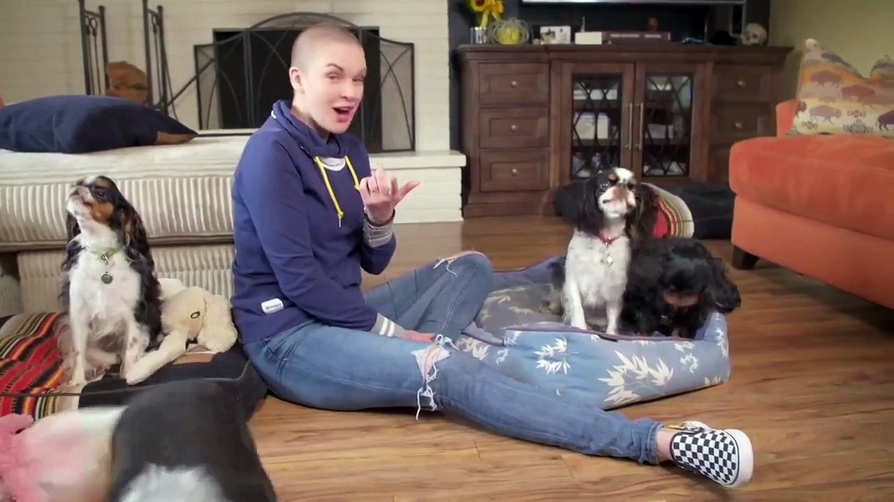 Amanda to the Rescue - Se2 - Ep04 - Super Scootie the Super Senior HD Watch HD Deutsch