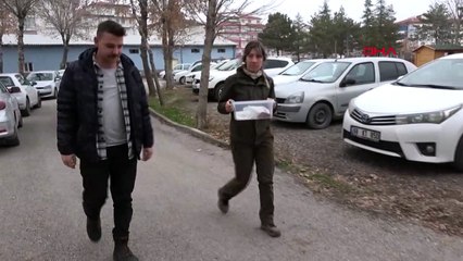 Jandarmanın durdurduğu otomobilin bagajından iki tane yılan çıktı!