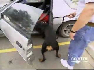 Cops - Se10 - Ep16 HD Watch HD Deutsch