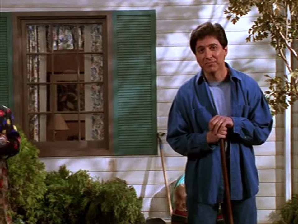 Alle lieben Raymond Staffel 1 Folge 16