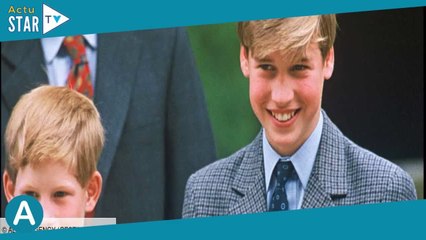 William et Harry : cette activité qu’ils adoraient pratiquer en famille à Noël