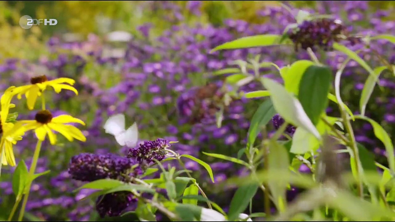 Chaos-Queens Staffel 1 Folge 4