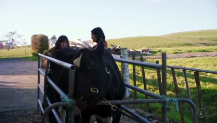 Creamerie - Se1 - Ep01 HD Watch HD Deutsch