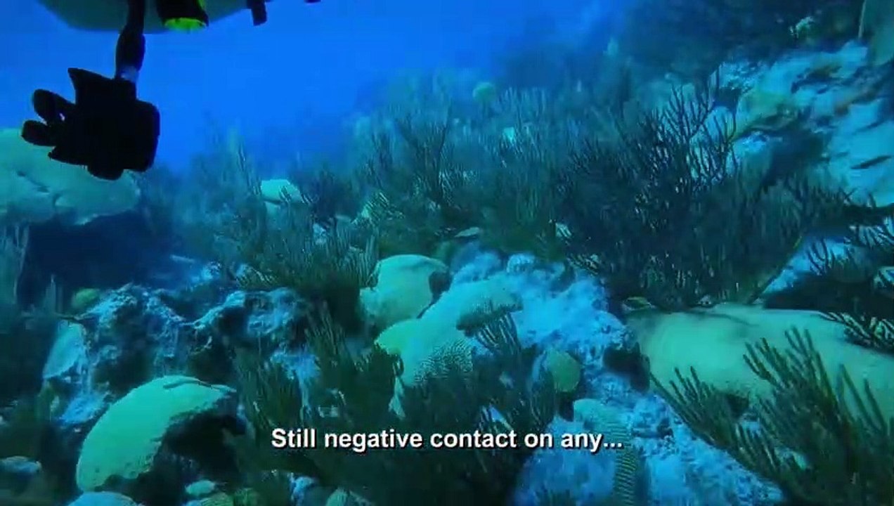 Curse of the Bermuda Triangle - Se1 - Ep06 - Ghost Ship Trr HD Watch HD Deutsch