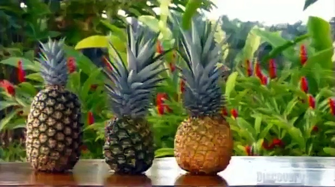 How It's Made - Se11 - Ep09 HD Watch HD Deutsch