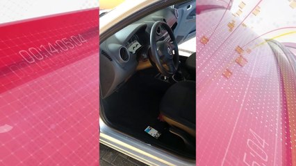 Defesa Civil resgata filhote de gato dentro carro em Jandaia do Sul