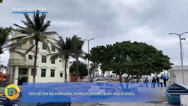 Rachas violentas en Veracruz derriban árboles, postes y generan incendios