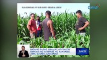 Batang babae, hinalay at pinatay umano ng kumpare ng kanyang ama; suspek, arestado | Saksi