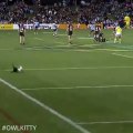 Black cat runs on field AND SCORES A GOAL