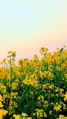 Amazing natural scenery view