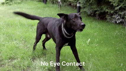 Life saving facts that you must know