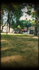 Linda tarde en Plaza Colón,Tacuarembó, Uruguay (29/11/2022)