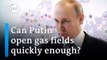 Putin opens new gas field as Europe transitions away from Russian oil