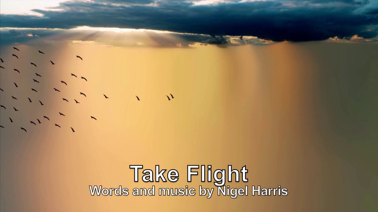 Take Flight