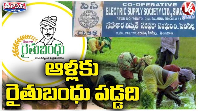 State Govt Disburse Rythu Bandhu Only For Sircilla Farmers Accounts _ KTR _ V6 Teenmaar