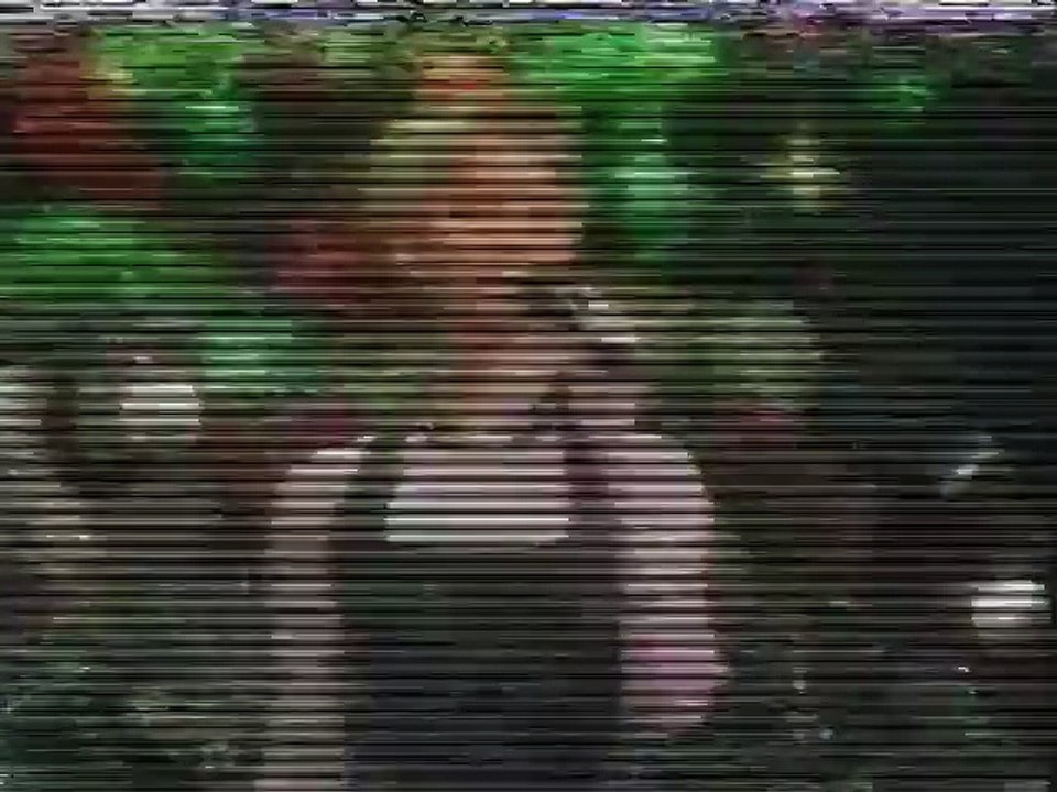 Lee Kernaghan at Carols in the Domain 1993
