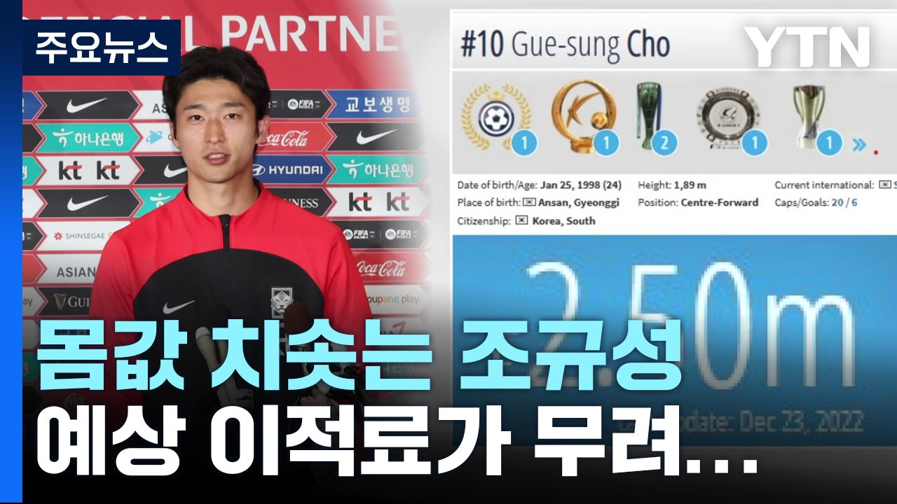 치솟는 인기만큼 몸값도 급등...조규성, 예상 이적료 250만 유로 / YTN