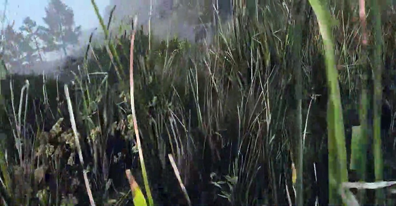 Call of Duty Modern Warfare 2 Walkthrought 4