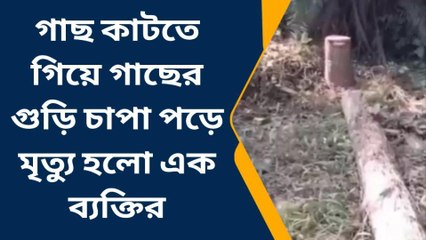 দঃ ২৪ পরগনা: মর্মান্তিক দুর্ঘটনা! গাছের গুড়ি চাপা পড়ে মৃত এক