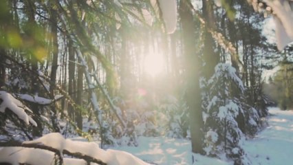 Ghode Pe Sawar | Lyrical Full Video Song | Slowed-LoFi Version | Qala | Netflix | Flawless Media Productions