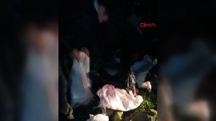 İstanbul'da kaçak kesim baskını: At keserken yakalandılar