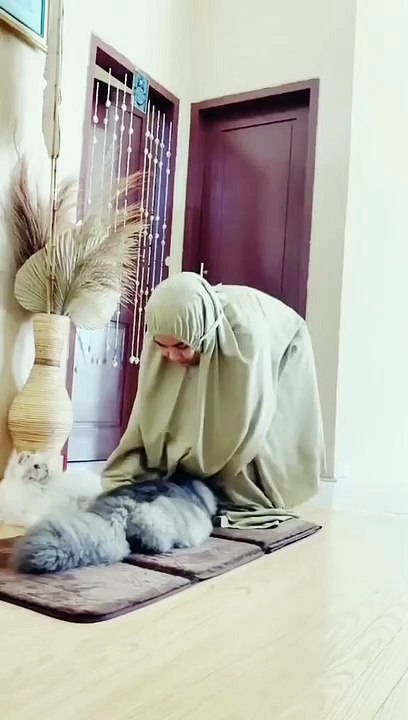 Kucing Lucu (68)