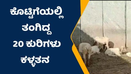 ಶಿಡ್ಲಘಟ್ಟ: ಕೊಟ್ಟಿಗೆಯ ಬೀಗ ಮುರಿದು 20 ಕುರಿ ಕಳ್ಳತನ