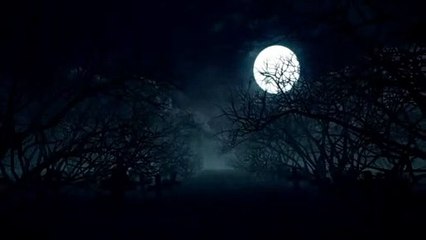 Full Moon on Halloween Night, loop video - Free Stock Video by Romance Post BD