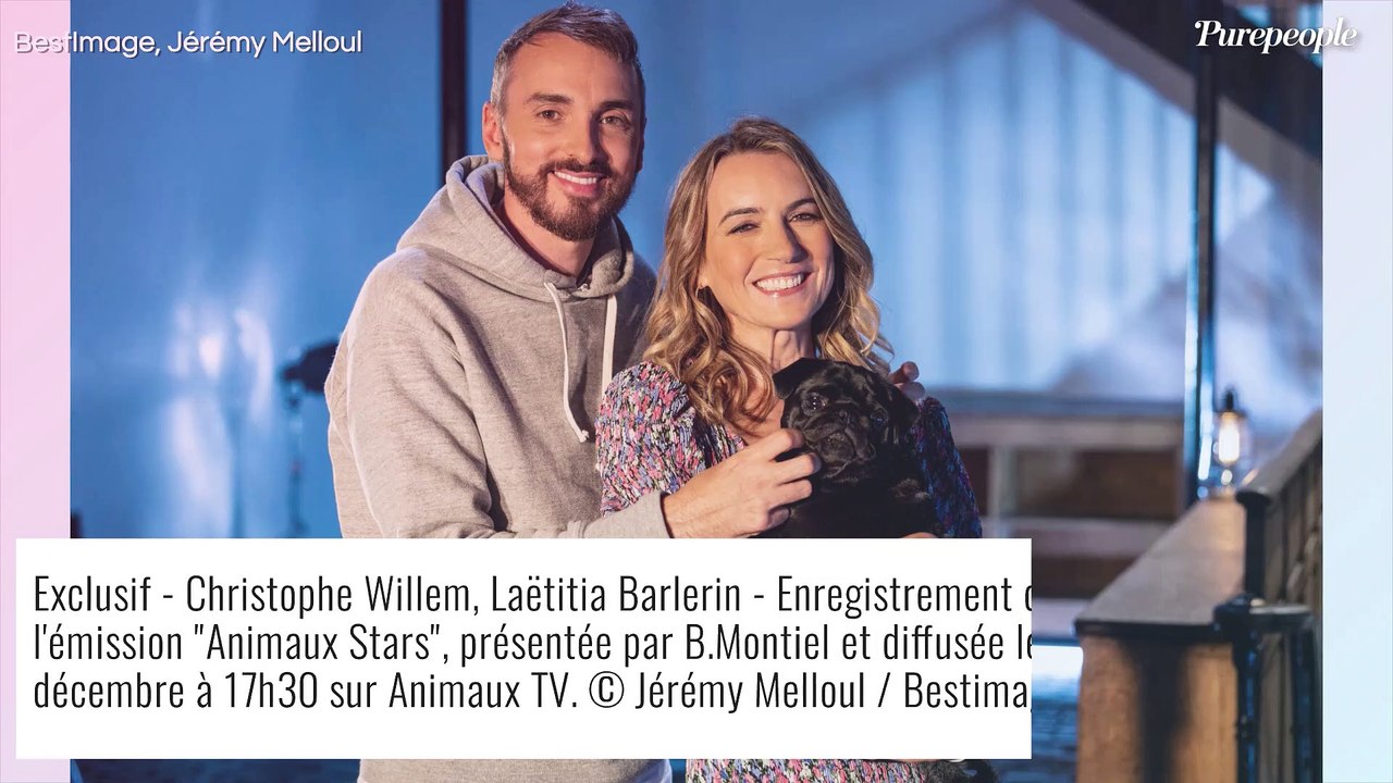 Christophe Willem évoque son amour pour ses chiens face à Bernard Montiel