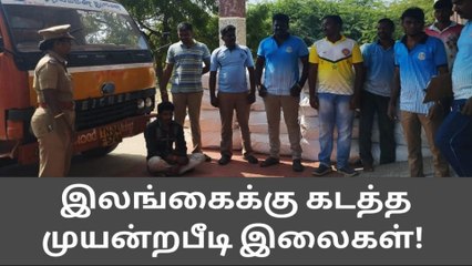 விளாத்திகுளம்: இலங்கைக்கு கடத்தல் என்ற 1.5 டன் பீடிஇலைகள் பறிமுதல்..!