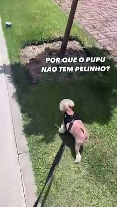Bruna Gomes fala sobre problema de saúde de Pulga