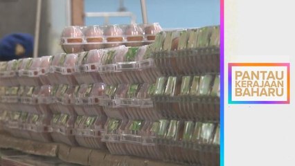 Pantau Kerajaan Baharu | Permintaan pengguna menyumbang kepada harga barang tinggi?