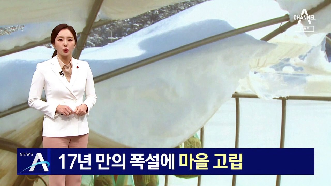 17년 만의 폭설에 마을 한때 고립…진입로 하나 뚫어