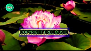 Copyright free background indian instrumental music for content creation