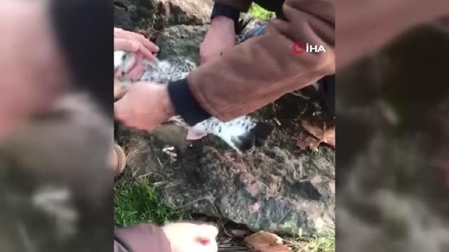 Ağzına ip takılan martının yardımına polisler koştu