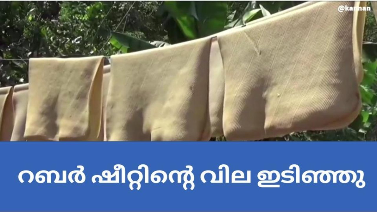 ഉല്‍പാദനം കൂടിയപ്പോള്‍ വില പൊട്ടി; നിസഹായരായി റബര്‍ കര്‍ഷകര്‍