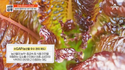벌레. 곰팡이 퇴치 후 맛까지 보증☆ '천연' 농약을 제조해 뿌리는 갑부