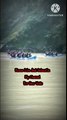 Raft race in ganga river