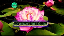 Copyright free indian instrumental background music for content creators.