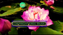 Copyright free indian instrumental background music for content creation,