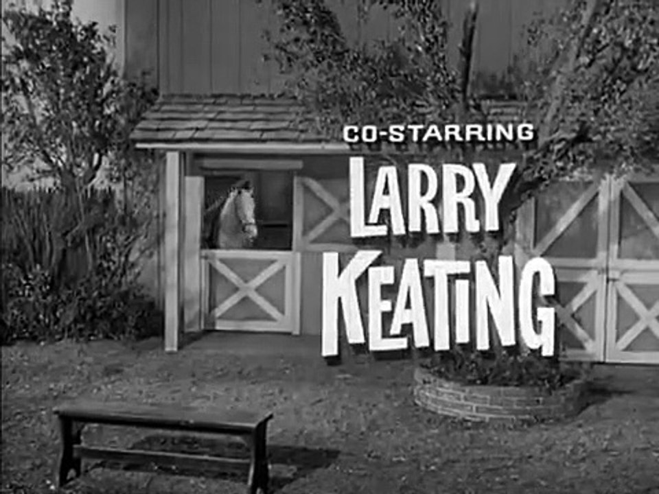 Mister Ed - Se3 - Ep02 HD Watch HD Deutsch