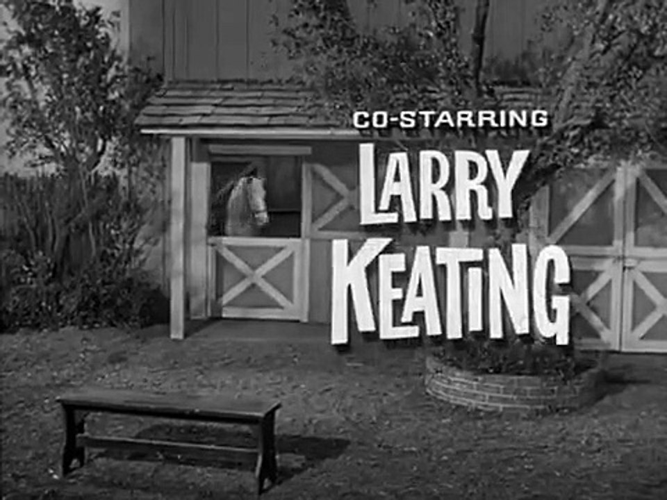 Mister Ed - Se3 - Ep05 HD Watch HD Deutsch