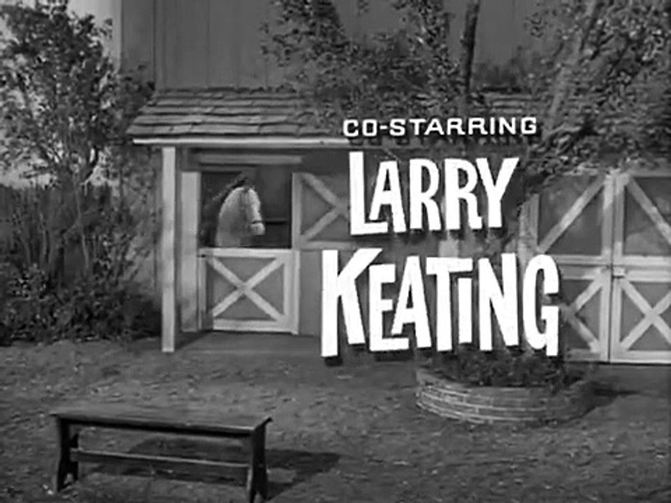 Mister Ed - Se3 - Ep06 HD Watch HD Deutsch