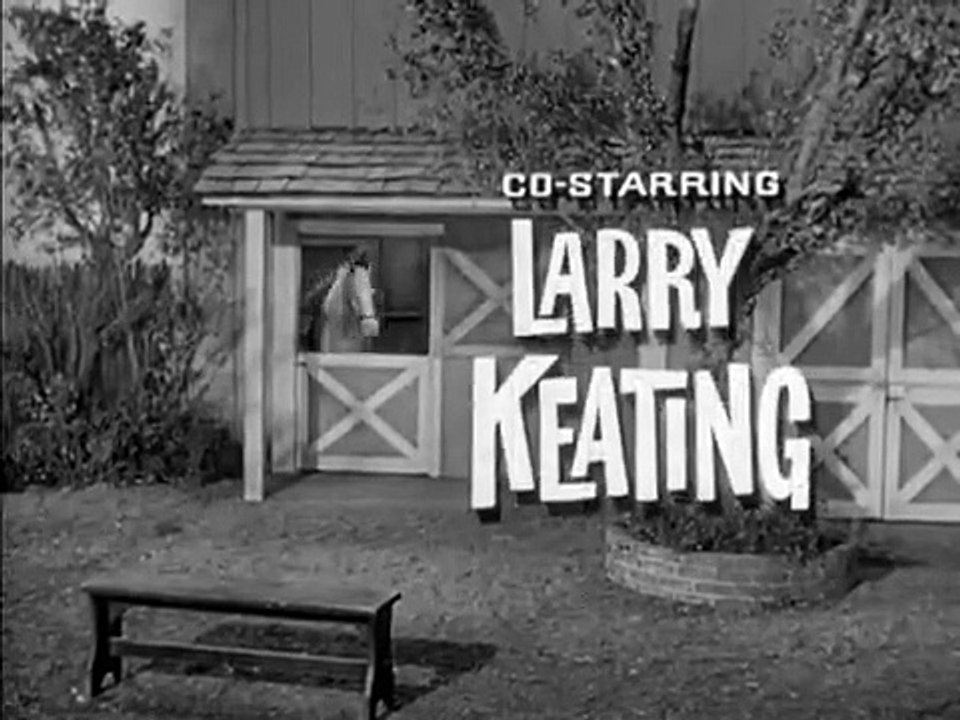 Mister Ed - Se3 - Ep07 HD Watch HD Deutsch