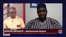 The Made In Ghana Debate: Strides, opportunities, challenges and way forward to a Ghana beyond Aid - Part 2 - Newsfile with Samson Lardi Anyenini on JoyNews (24-12-22)