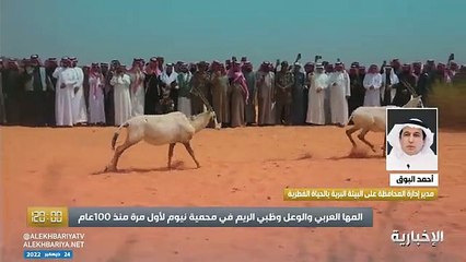 مسؤول بـ«الحياة الفطرية»: إطلاق أكثر من 1200 كائن فطري في 15 موقعًا الموسم الماضي