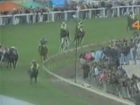 Horse Racing accident