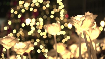 [날씨] 한파 속 성탄 미사 앞둔 명동대성당...내일 서울 -9℃ / YTN