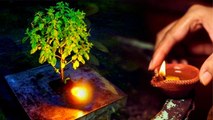 Tulsi Pujan Diwas 2022 : तुलसी के पत्तों से ज़रूर करें ये उपाय | Tulsi Ke Patte Ke Upay | Boldsky