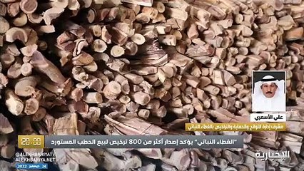 مسؤول بـ «الغطاء النباتي»: على المواطن شراء الحطب المستورد والابتعاد عن المحلي